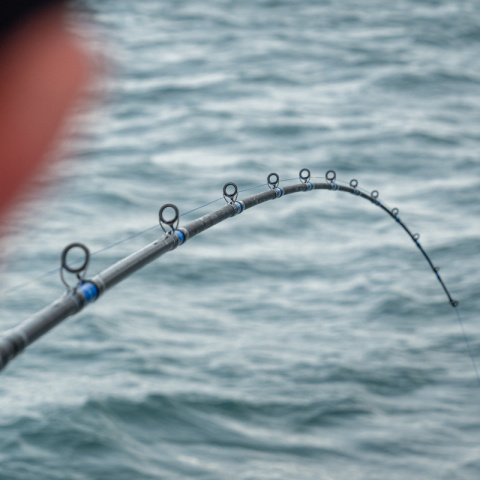 Daiwa Saltist Boat Rods10.jpg